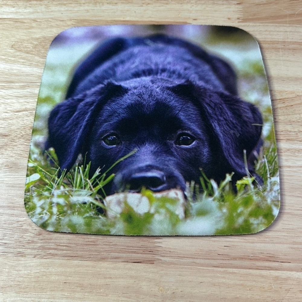 Black Labrador Puppy Mousepad Square Non-Slip Rubber Base Dog Photo Print 8.5in